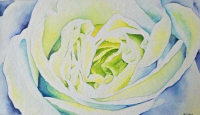 Aquarellbild dreier Primeln in expressiven Gelb- und Grüntönen